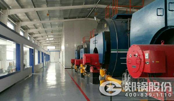 自然气锅炉手艺参数