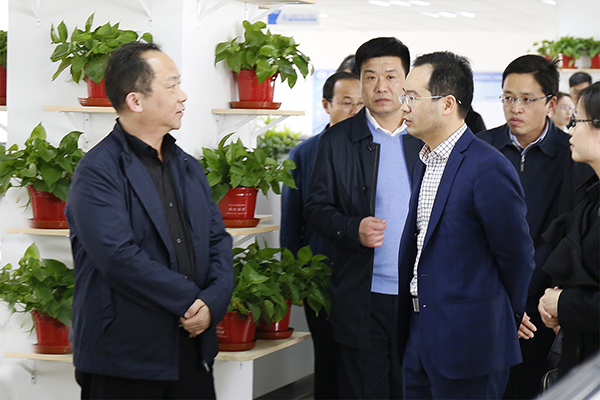 河北省工业和信息化厅厅长龚晓峰莅临来利国际w66