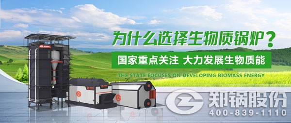 来利国际w66生物质锅炉.jpg