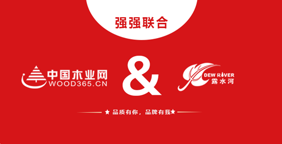 强强联合 ng28.com和中国木业网达成战略合作