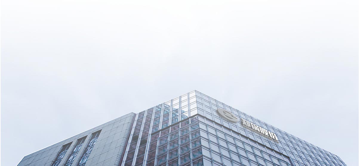 来利国际w66股份