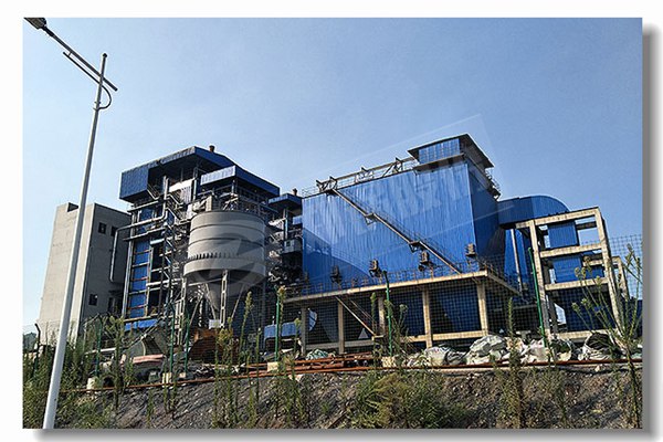 制药行业的12吨自然气锅炉