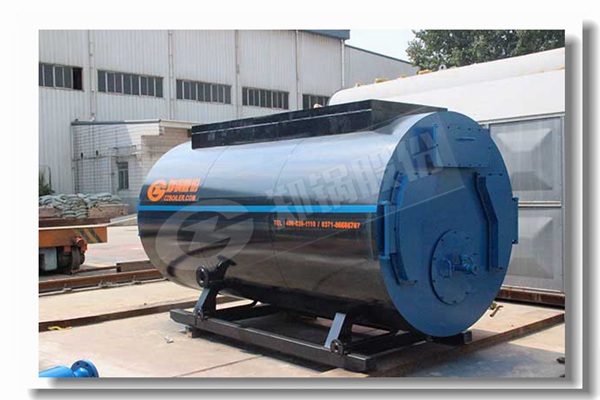 自然气和柴油燃烧的热水锅炉