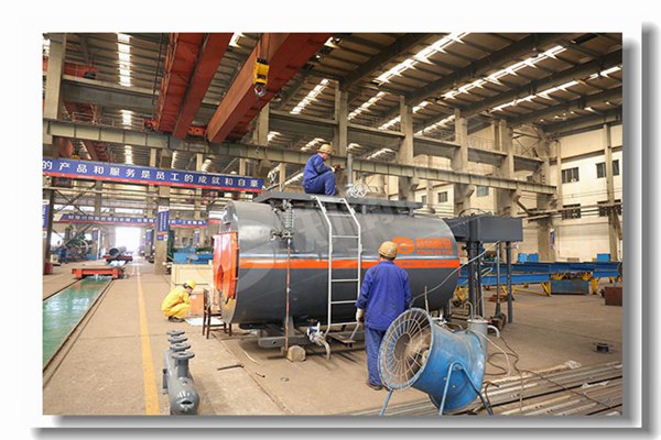 11吨食物厂链条炉排锅炉